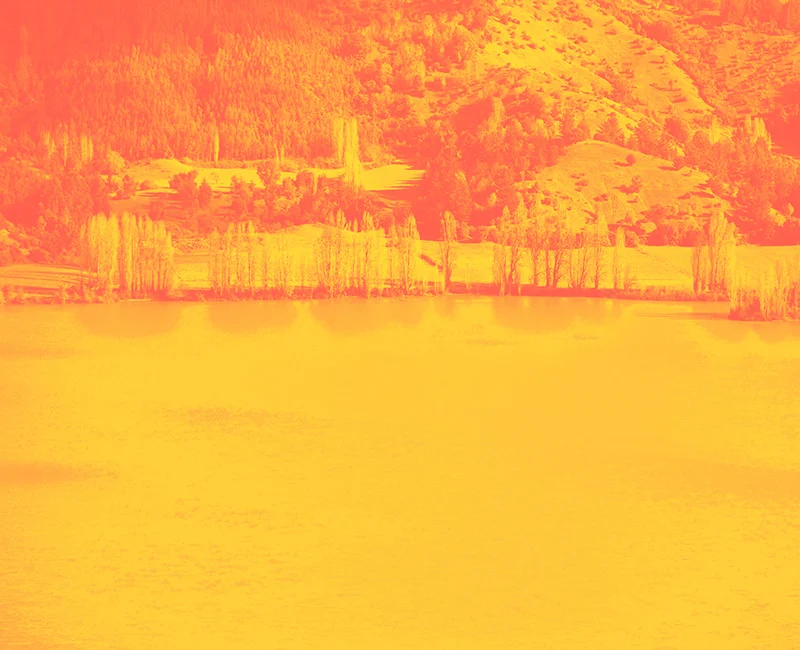 Frontera Sur y Festival Internacional de Cine de Valdivia establecen una alianza de colaboración en sus áreas de desarrollo de proyectos