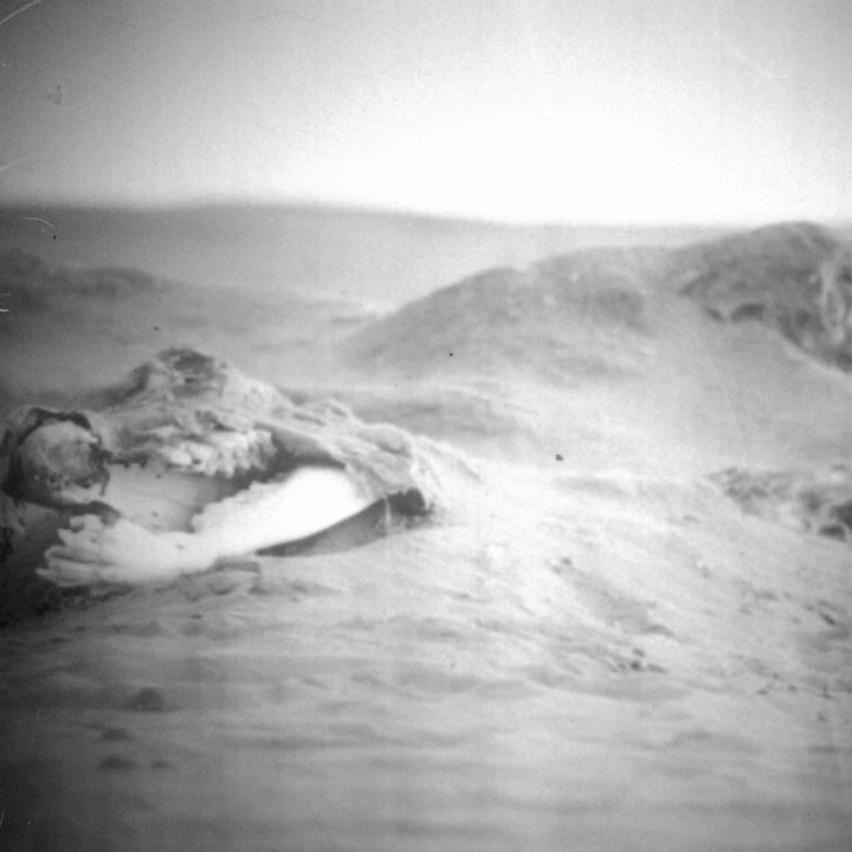 GRABADOS-DEL-OJO-NOCTURNO