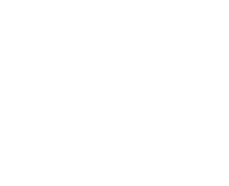 Frontera Sur Festival