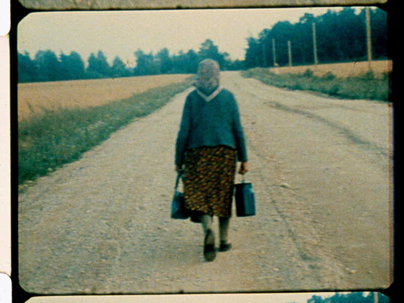Más de 100 películas y la primera retrospectiva en Chile del legendario cineasta Jonas Mekas exhibirá la tercera versión de Frontera Sur